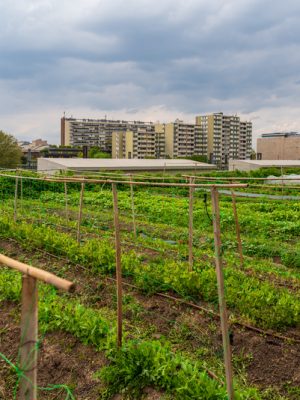 Visite de Chapelle Internationale - 37 Rue des Cheminots. Site géré par Cultivate.