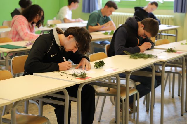 Les apprennant·es de l'École Du Breuil préparent le concours de reconnaissance des végétaux