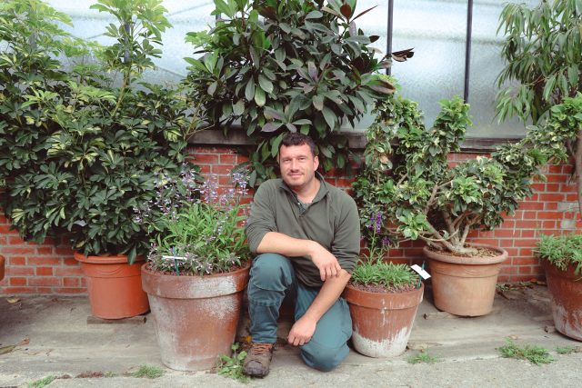 Benoît et les penstemons