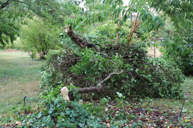 Le jardin de l'école Du Breuil fortement touché par l'orage du 27 août 2026