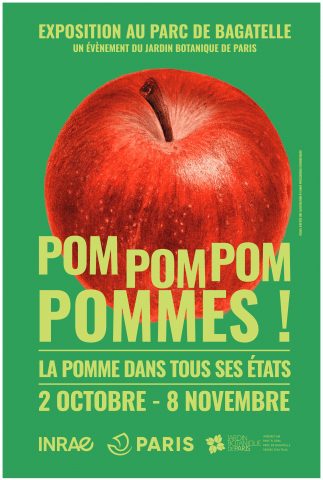 pompompom pommes école du breuil