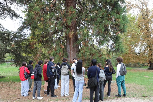 Découverte école Du breuil Licence 1 Paréo